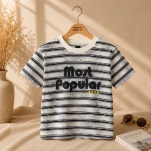 Stylish Grey & Black Striped T-Shirt for Boys