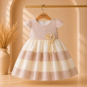 Elegant Baby Girl Party Dress